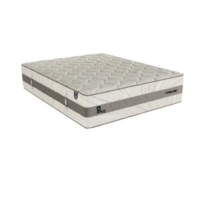 Genessi Premium Dewmound Mattress